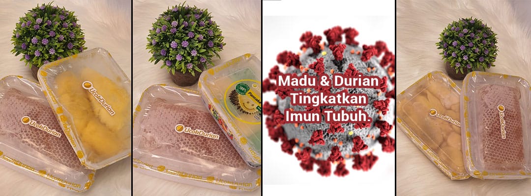 Ucok Durian Medan