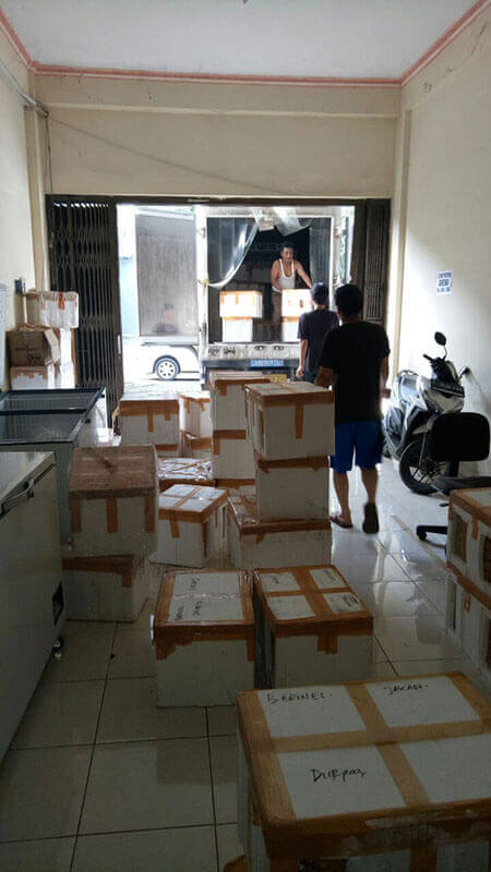 Supplier, Agen, Reseller Bisnis Durian Medan - Ucok Durian