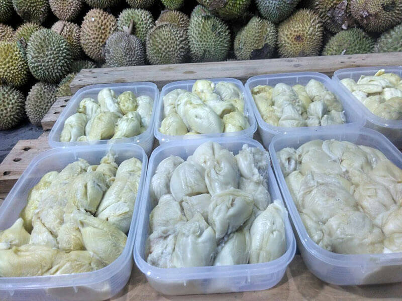 Warehouse Ucok Durian Jogjakarta - Ucok Durian