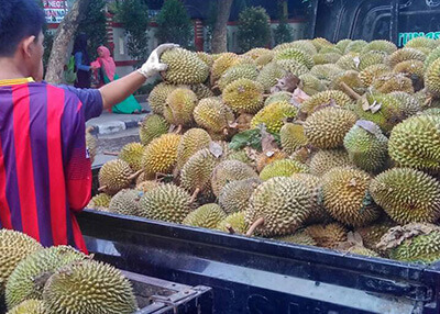 Unduh 90 Gambar Durian Utuh Terbaru Gratis HD